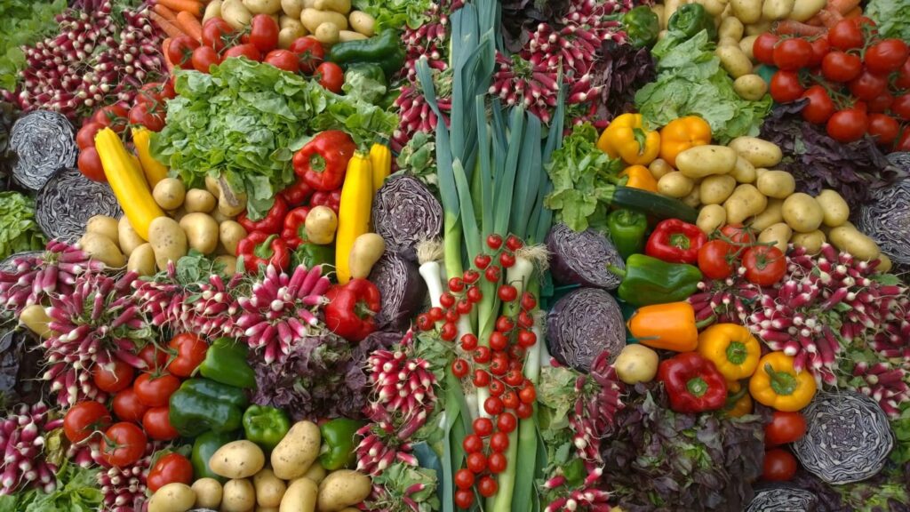 Grande variedade de vegetais e frutas.